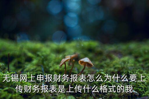 為什么要上傳報(bào)表，無(wú)錫網(wǎng)上申報(bào)財(cái)務(wù)報(bào)表怎么為什么要上傳財(cái)務(wù)報(bào)表是上傳什么格式