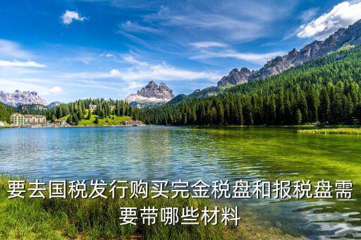 購買金稅盤要帶什么，購買增值稅發(fā)票系統(tǒng)金稅盤需帶什么資料