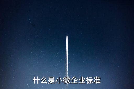 什么樣的標(biāo)準(zhǔn)是小薇企業(yè)，什么是小微企業(yè)標(biāo)準(zhǔn)