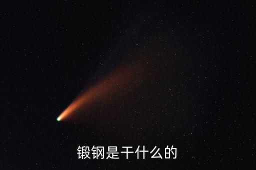 弘遠(yuǎn)泰斯是干什么的，飛踏是干什么的