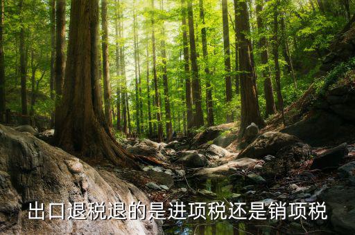 出口退稅退的是什么稅，出口退稅退的是進(jìn)項稅還是銷項稅
