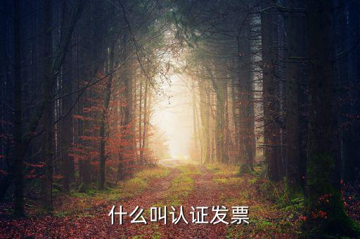 什么叫認(rèn)證發(fā)票，什么叫認(rèn)證增值稅發(fā)票如何認(rèn)證好像還有手工認(rèn)證是怎么回事啊