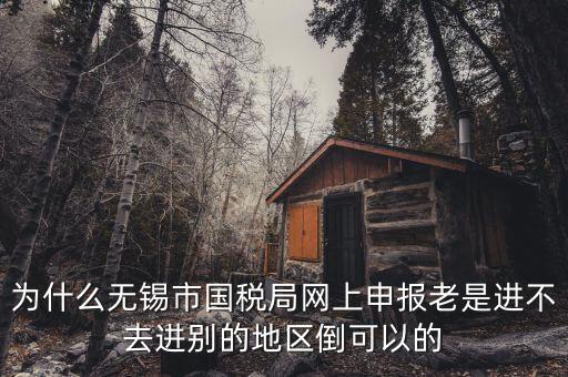 無錫網(wǎng)上辦稅服務廳為什么進不去，為什么我登錄不上網(wǎng)上辦稅服務廳啊