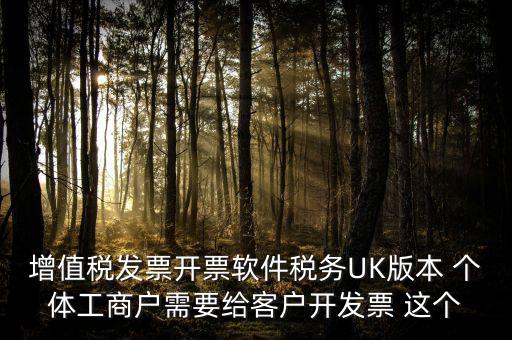 增值稅發(fā)票開(kāi)票軟件稅務(wù)UK版本 個(gè)體工商戶(hù)需要給客戶(hù)開(kāi)發(fā)票 這個(gè)