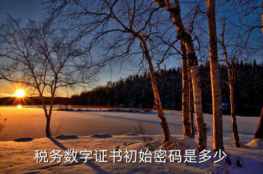 金稅盤ca密碼是什么，稅務密鑰是什么東西是數(shù)字證書嗎