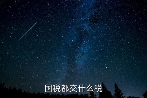 國稅五項稅種都是什么，國稅包括哪些稅種