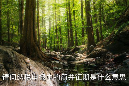 簡并征期是什么意思，期是什么意思