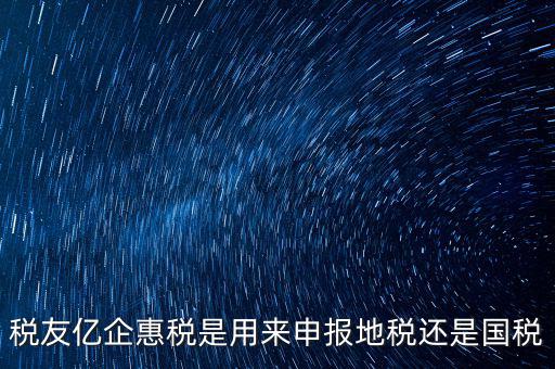 稅友報(bào)稅的是什么，稅友億企惠稅是用來申報(bào)地稅還是國稅
