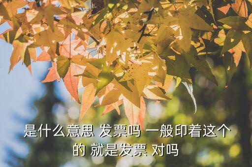  是什么意思 發(fā)票嗎 一般印著這個(gè)的 就是發(fā)票 對(duì)嗎