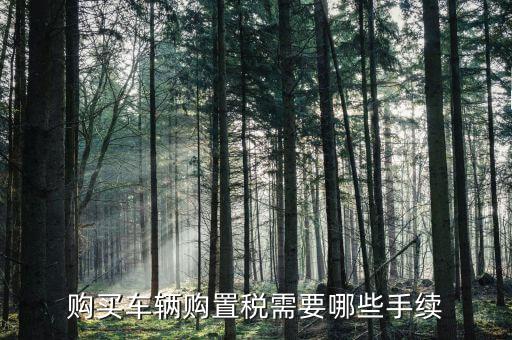 車購置稅證明什么手續(xù)，購買車輛購置稅需要哪些手續(xù)
