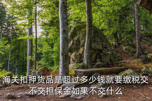 納稅擔(dān)保什么意思，海關(guān)扣押貨品是超過(guò)多少錢就要繳稅交不交擔(dān)保金如果不交什么