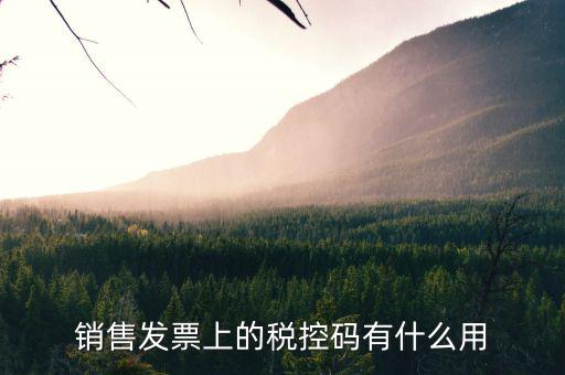 發(fā)票稅控碼是什么，國稅發(fā)票稅控碼