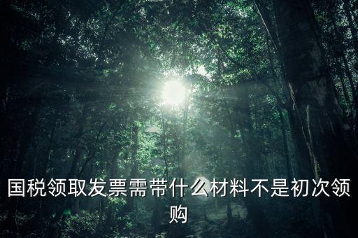 國稅領取發(fā)票需帶什么材料不是初次領購
