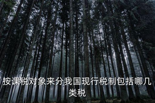什么是現行稅收制度，說明中國現行稅制增值稅的具體稅制要素有哪些