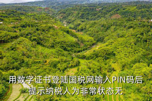 用數(shù)字證書(shū)登陸國(guó)稅網(wǎng)輸入PIN碼后提示納稅人為非常狀態(tài)無(wú)