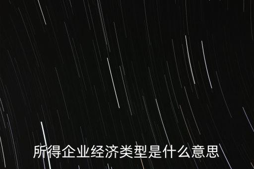 所得項(xiàng)目是什么意思，所得企業(yè)經(jīng)濟(jì)類型是什么意思