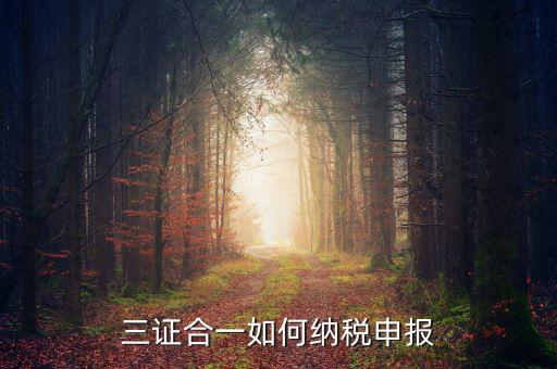 三證合一用什么報(bào)稅，三證合一如何納稅申報(bào)