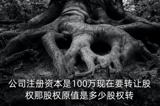 股權(quán)原值是什么意思，公司注冊(cè)資本是100萬(wàn)現(xiàn)在要轉(zhuǎn)讓股權(quán)那股權(quán)原值是多少股權(quán)轉(zhuǎn)