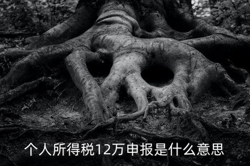 申報(bào)個稅是什么意思，12萬以上個人所得稅申報(bào)是什么意思