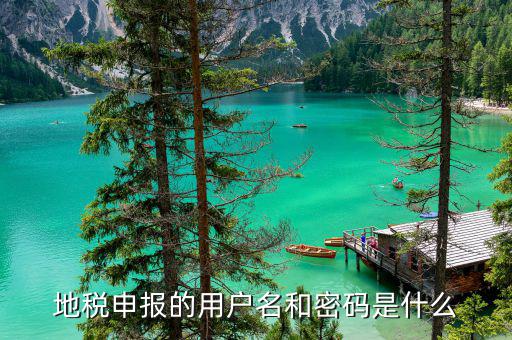 山東省地稅報(bào)稅的賬號是什么，地稅網(wǎng)上申報(bào)用什么帳號