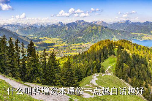什么叫轉(zhuǎn)增資本通俗一點(diǎn)越白話(huà)越好