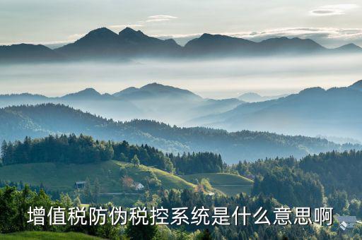 防偽稅控盤是什么，什么是防偽稅控系統(tǒng)金稅請解釋詳細(xì)明白點