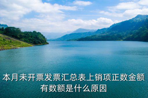 本月未開(kāi)票發(fā)票匯總表上銷(xiāo)項(xiàng)正數(shù)金額有數(shù)額是什么原因