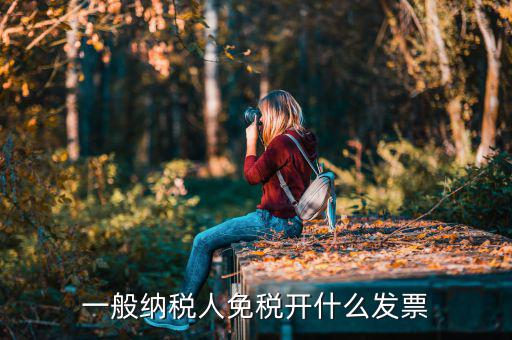 一般納稅人領什么票，一般納稅人免稅開什么發(fā)票