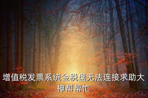 為什么金稅盤(pán)連接不上，金稅盤(pán)直接進(jìn)不去怎么回事啊