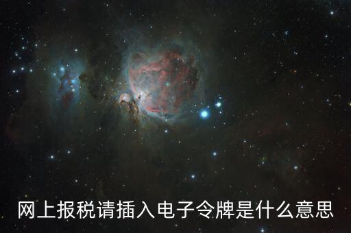 報稅數(shù)字證書口令是什么意思，網(wǎng)上報稅請插入電子令牌是什么意思