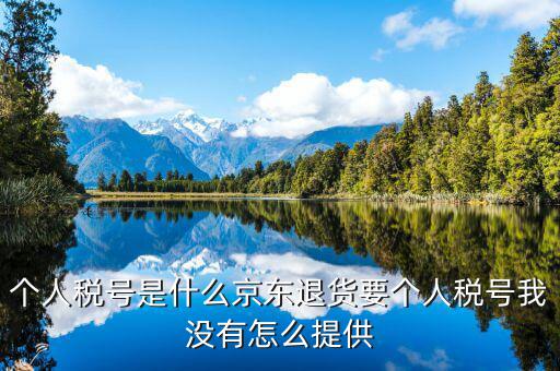 個(gè)人稅號(hào)是什么京東退貨要個(gè)人稅號(hào)我沒有怎么提供