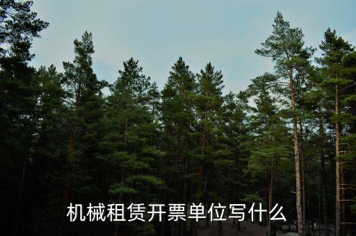 租賃費開票單位填什么，機械租賃開票單位寫什么