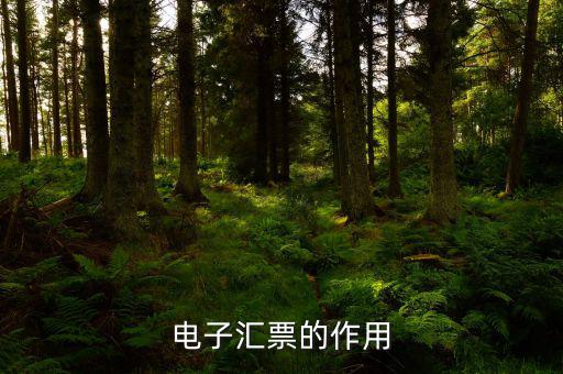電子發(fā)票作用是什么，電子發(fā)票系統(tǒng)能做什么用