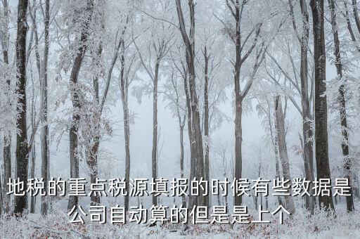 為什么重點(diǎn)稅源是上個(gè)月的數(shù)據(jù)，地稅的重點(diǎn)稅源填報(bào)的時(shí)候有些數(shù)據(jù)是公司自動(dòng)算的但是是上個(gè)
