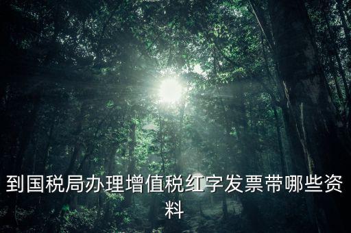 開紅字增票要帶些什么，增值稅普通發(fā)票開具紅字發(fā)票需要什么資料