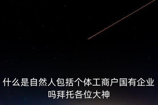 稅務(wù)上的自然人指的是什么，申請人為自然人的是什么意思