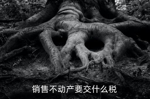 出售不動產(chǎn) 交什么稅，銷售不動產(chǎn)要交什么稅
