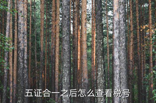 五證合一后納稅人識別號是什么，五證合一之后怎么查看稅號