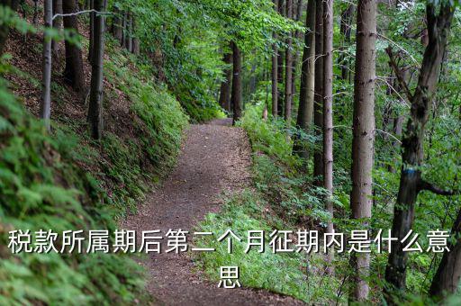 11月份征期是什么意思，稅款所屬期后第二個(gè)月征期內(nèi)是什么意思