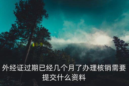 上海外經(jīng)證核銷資料要些什么，外經(jīng)證過期已經(jīng)幾個(gè)月了辦理核銷需要提交什么資料