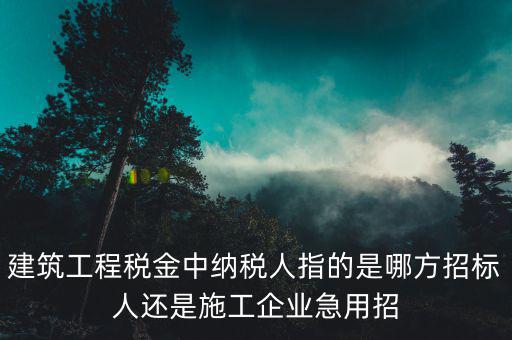 施工單位相關(guān)稅源是指什么，建筑業(yè)地稅稅源編號指的是啥