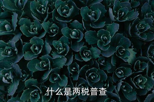 兩稅普查是什么意思，進(jìn)口兩稅是什么