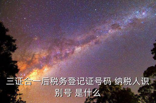 納稅人識(shí)別號(hào) 稅務(wù)代碼是什么意思，納稅人識(shí)別號(hào)是什么
