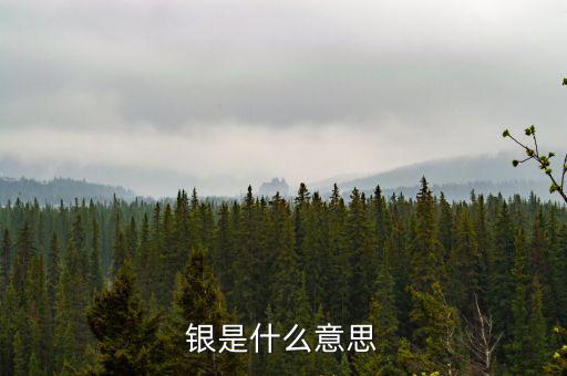 財稅庫銀是什么意思，銀是什么意思