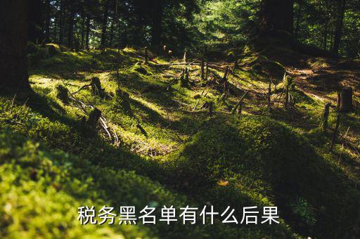 稅收黑名單制度是什么，關(guān)于上了稅務(wù)黑名單影響出境嗎