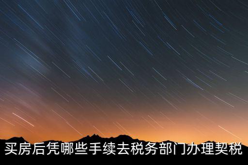 購房要在國稅辦什么，現(xiàn)在買房要辦些什么證件買房者與賣房者所交稅務有那些夠房者現(xiàn)