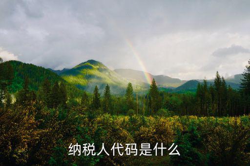 個(gè)人納稅人代碼是什么，納稅人代碼是什么