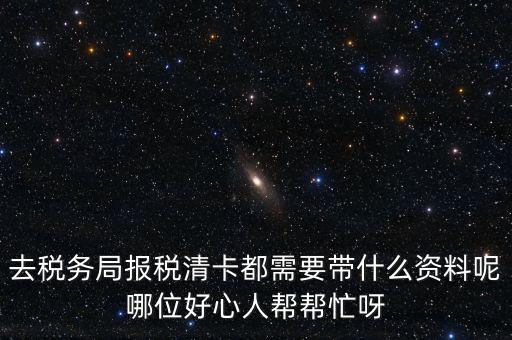 打稅務(wù)清單需要帶什么，我是個(gè)體商戶營業(yè)執(zhí)照掉了想去打印一份稅務(wù)清單需要帶些什么