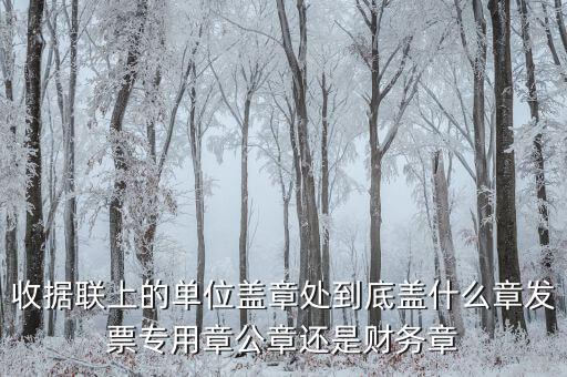 收據(jù)蓋章蓋是什么樣，收據(jù)上蓋什么章