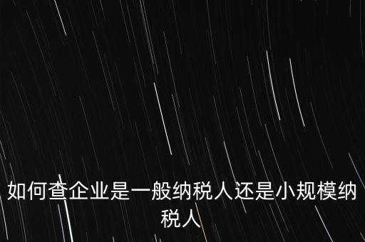 查詢公司什么納稅人，如何查企業(yè)是一般納稅人還是小規(guī)模納稅人